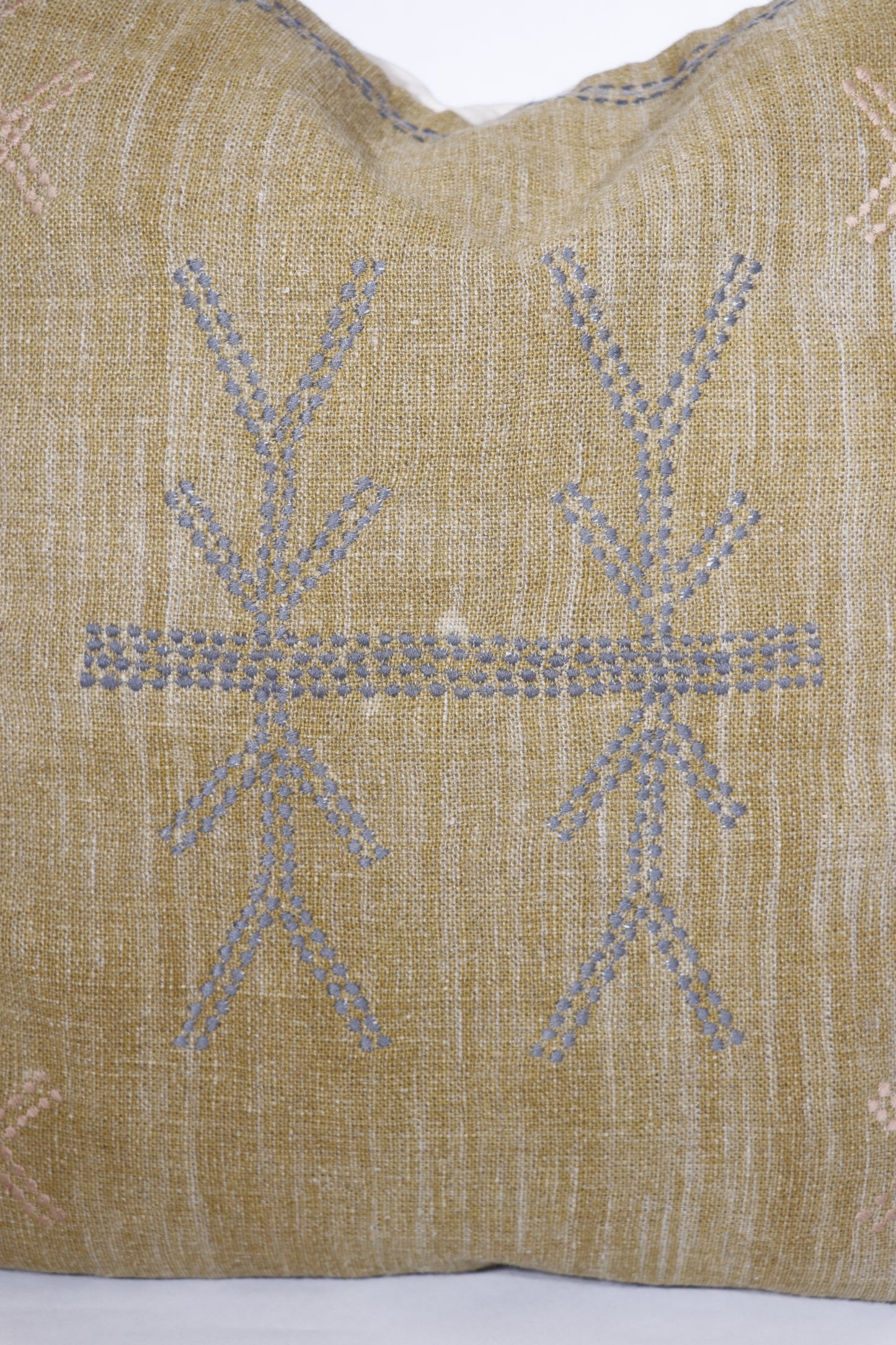 Cactus Silk Inspired Cotton Pillow Cover, Goldenrod, 20x20