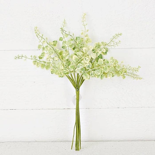 ISB50720- 10in Sprout Leaves Bunch-12/144bunch