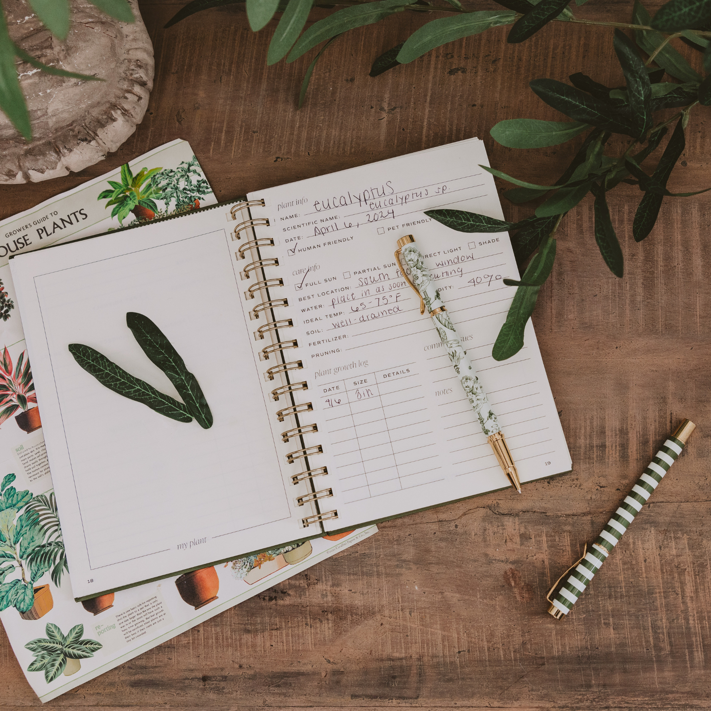 Journal, Indoor/Outdoor Plant