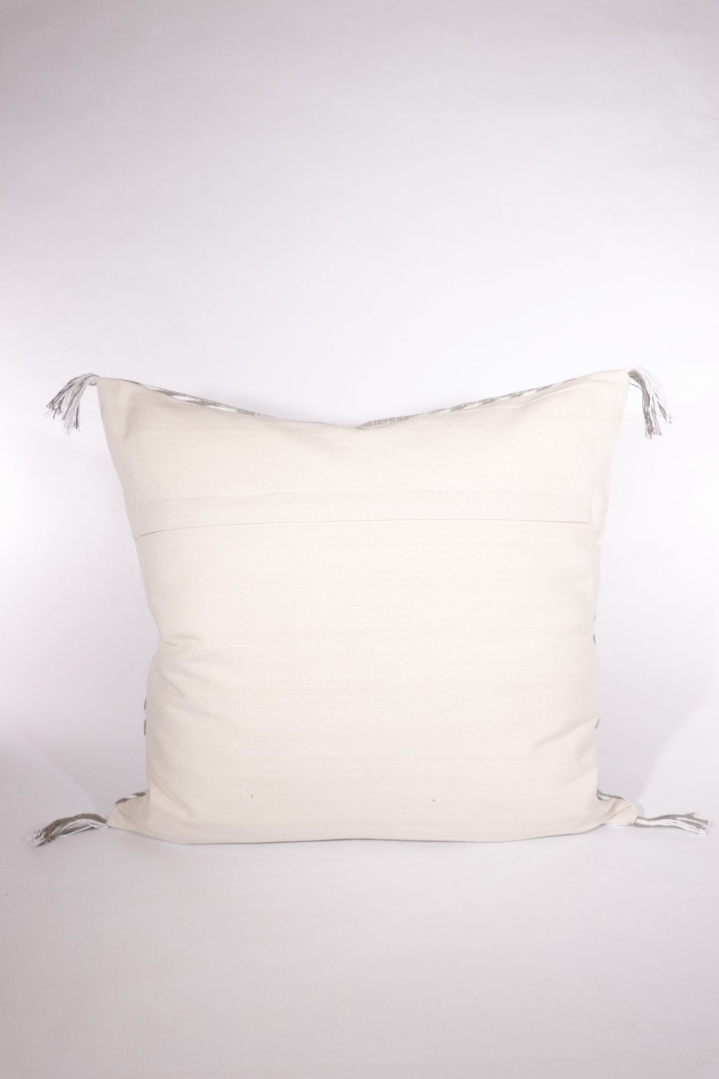 Cactus Silk Inspired Pillow Cover, Grey, 20x20