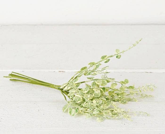 ISB50720- 10in Sprout Leaves Bunch-12/144bunch