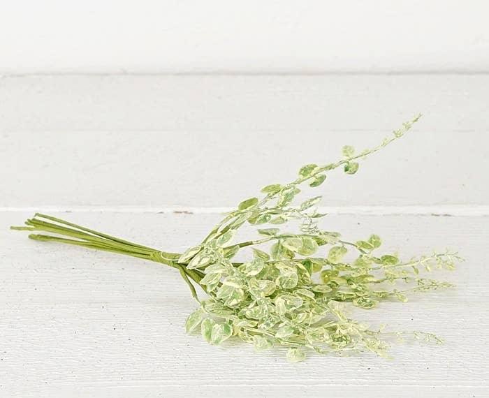 ISB50720- 10in Sprout Leaves Bunch-12/144bunch - Twelve 28 Market