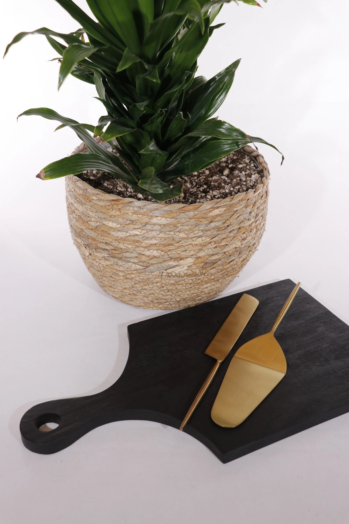 Black Acacia Wood Serving Board - Twelve 28 Market