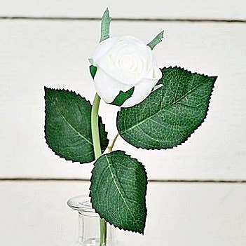 Real touch Cabbage Rose Stem-White, 13”, Set of 4