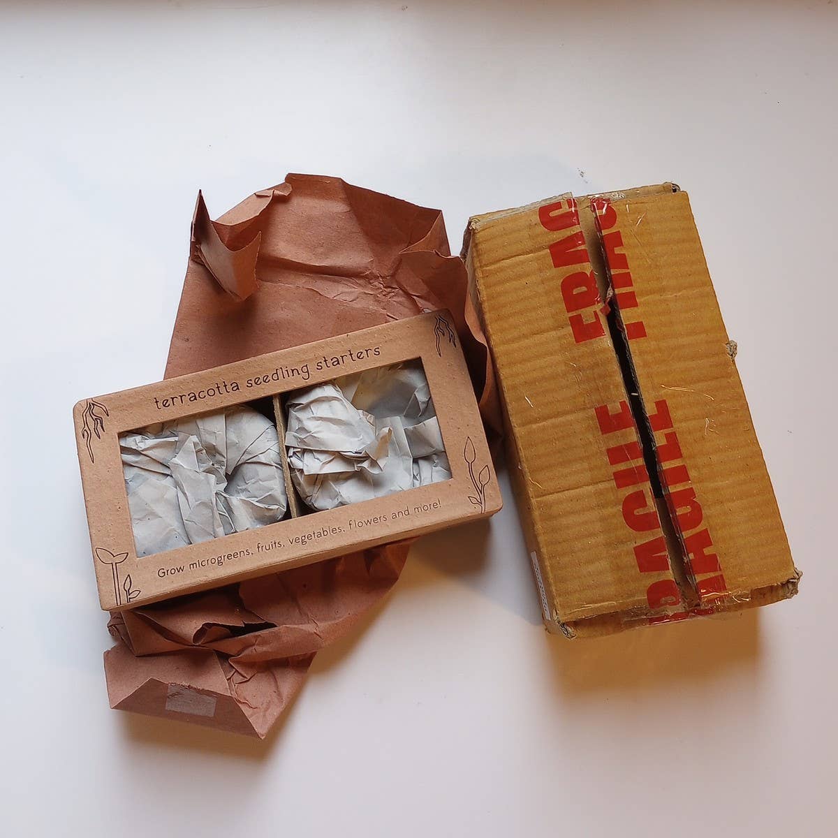 Terra Cotta Seed Sprouter Set