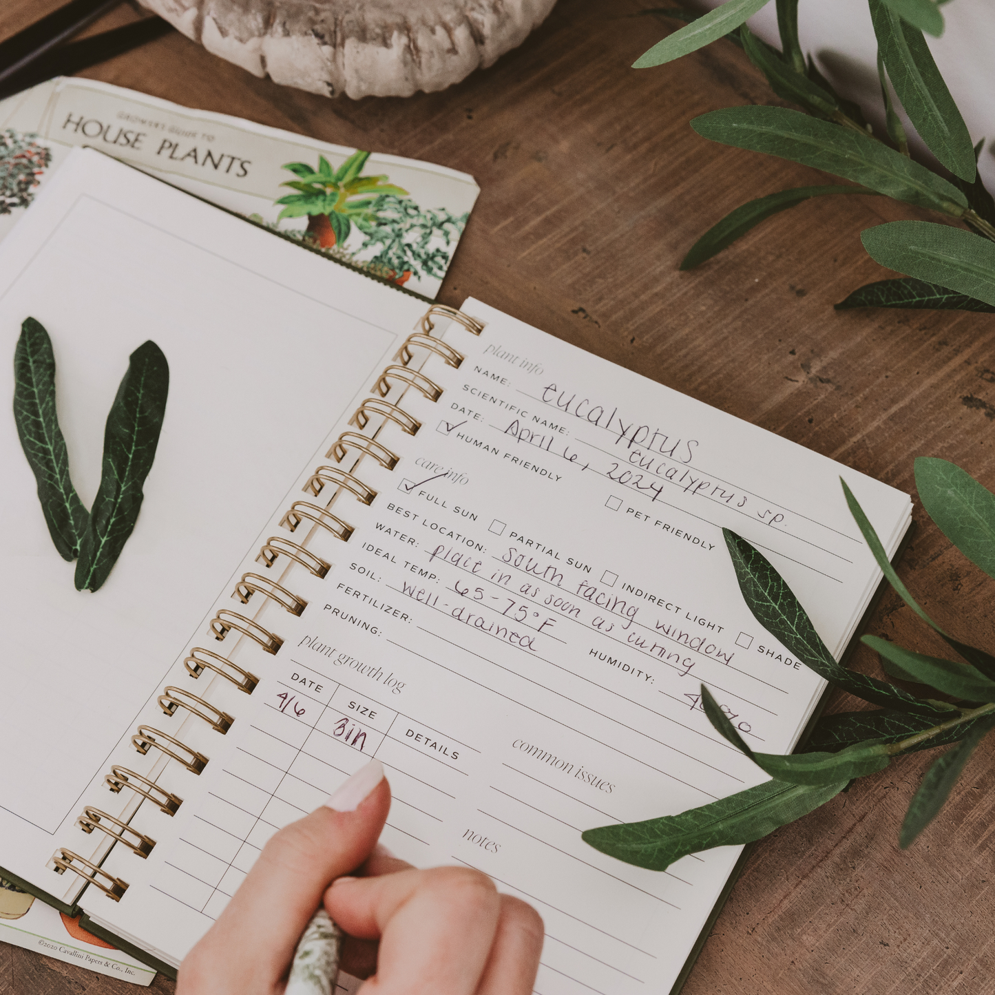 Journal, Indoor/Outdoor Plant