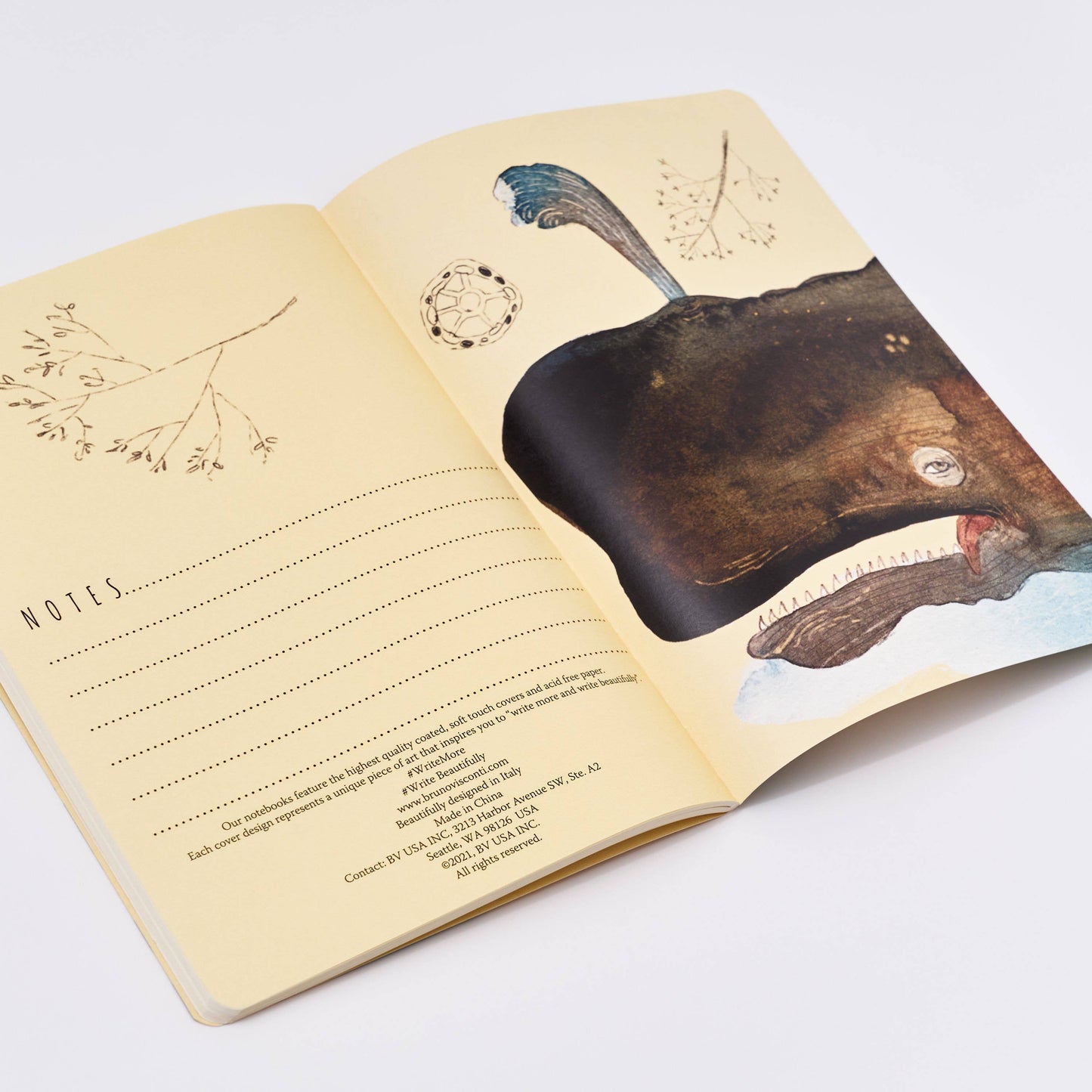 Notebook, Whales, BV by Bruno Visconti, A5