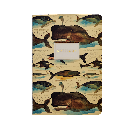 Notebook, Whales, BV by Bruno Visconti, A5