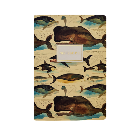 Notebook, Whales, BV by Bruno Visconti, A5