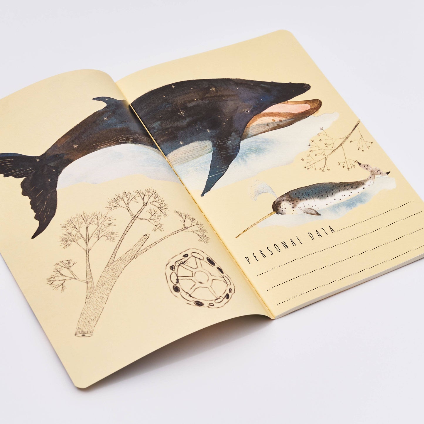 Notebook, Whales, BV by Bruno Visconti, A5