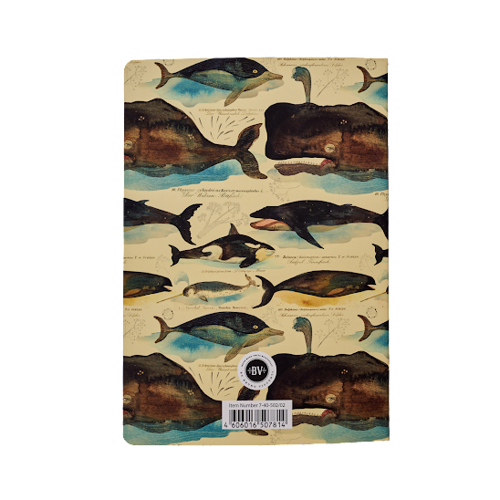 Notebook, Whales, BV by Bruno Visconti, A5