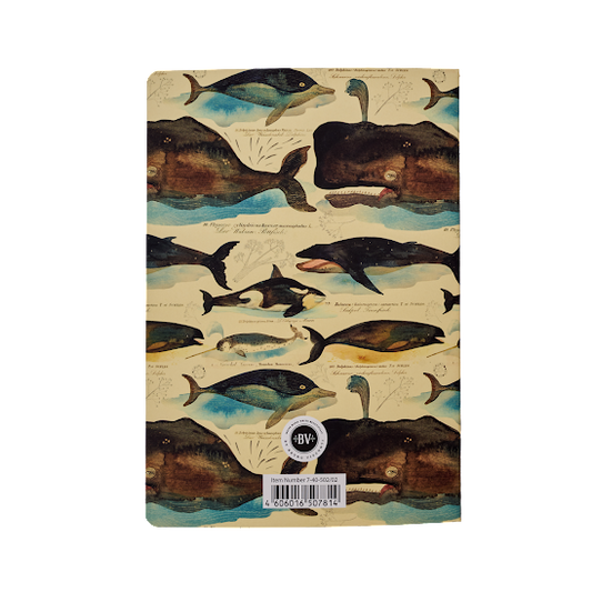 Notebook, Whales, BV by Bruno Visconti, A5