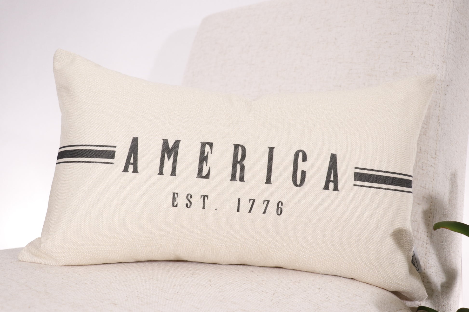 America pillow cover.